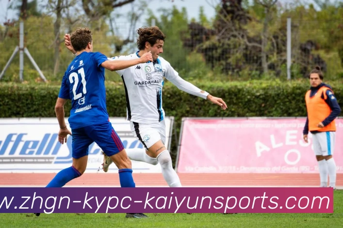 开云体育平台生态图